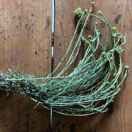 La Bergerie Du Moulin *