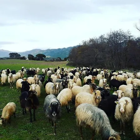 Διαμέρισμα La Bergerie Du Moulin