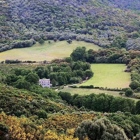 La Bergerie Du Moulin Διαμέρισμα San-Gavino-di-Tenda