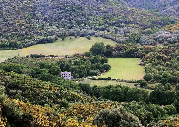 La Bergerie Du Moulin Appartement San-Gavino-di-Tenda